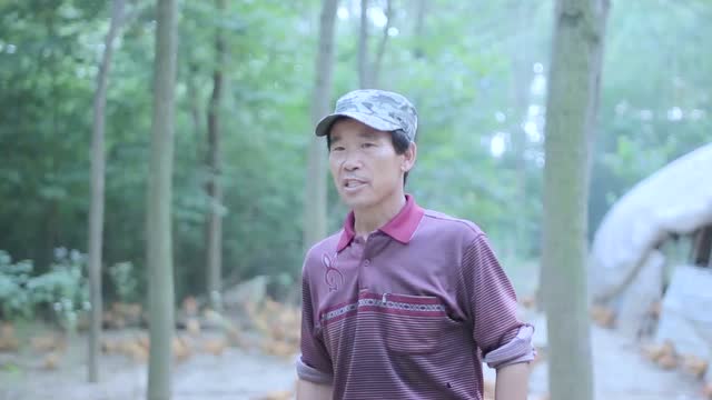 優(yōu)秀獎：《筑夢鄉(xiāng)村》報送單位：中垾鎮(zhèn)