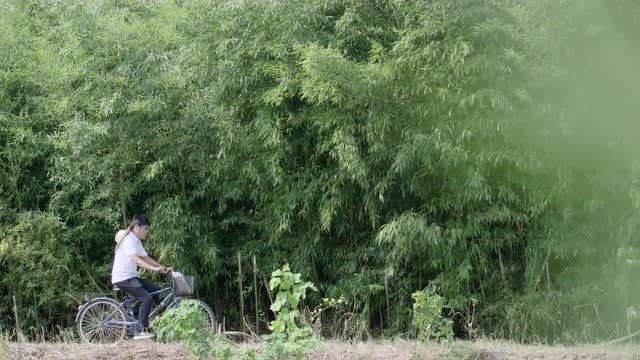 二等獎：《扶貧路上》報送單位：黃麓鎮(zhèn)