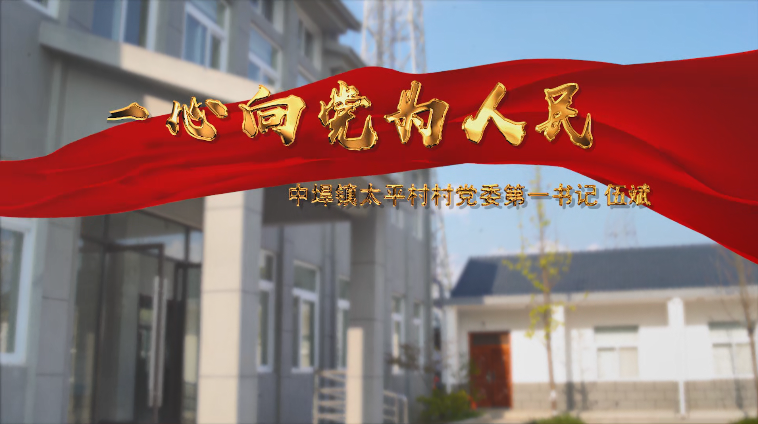 優秀獎：一心向黨為人民