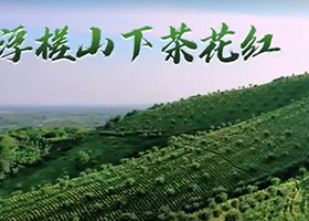 《浮槎山下茶花紅》（巢湖市廟崗鎮）