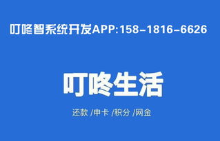 叮咚智還系統(tǒng)APP開(kāi)發(fā) 廣州軟件開(kāi)發(fā)的創(chuàng)新實(shí)踐