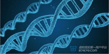 相機巨頭Red發(fā)布世界首款全息手機 未來AR或?qū)炎雷幼兂呻娔X